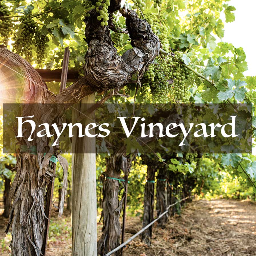 Haynes Vineyard logo