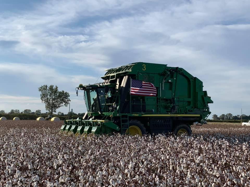 Green John Deere combine rolling through cotton field with the American Flag attached to it.