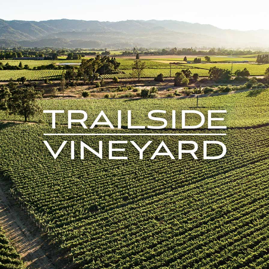 Trailside Vineyard logo